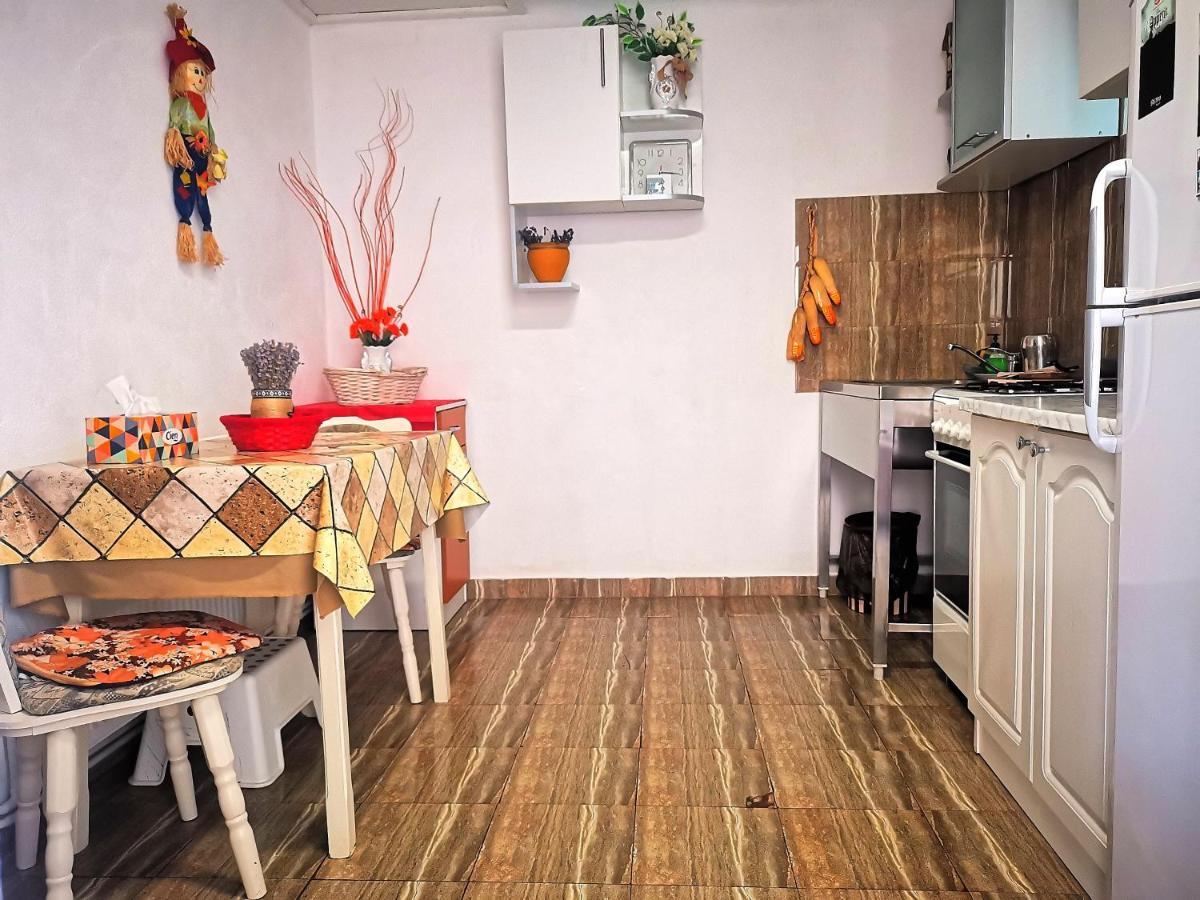 Вілла Casa Petrescu Куртя-де-Арджеш Екстер'єр фото