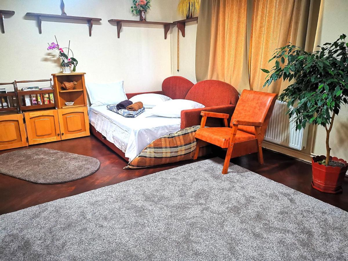 Вілла Casa Petrescu Куртя-де-Арджеш Екстер'єр фото