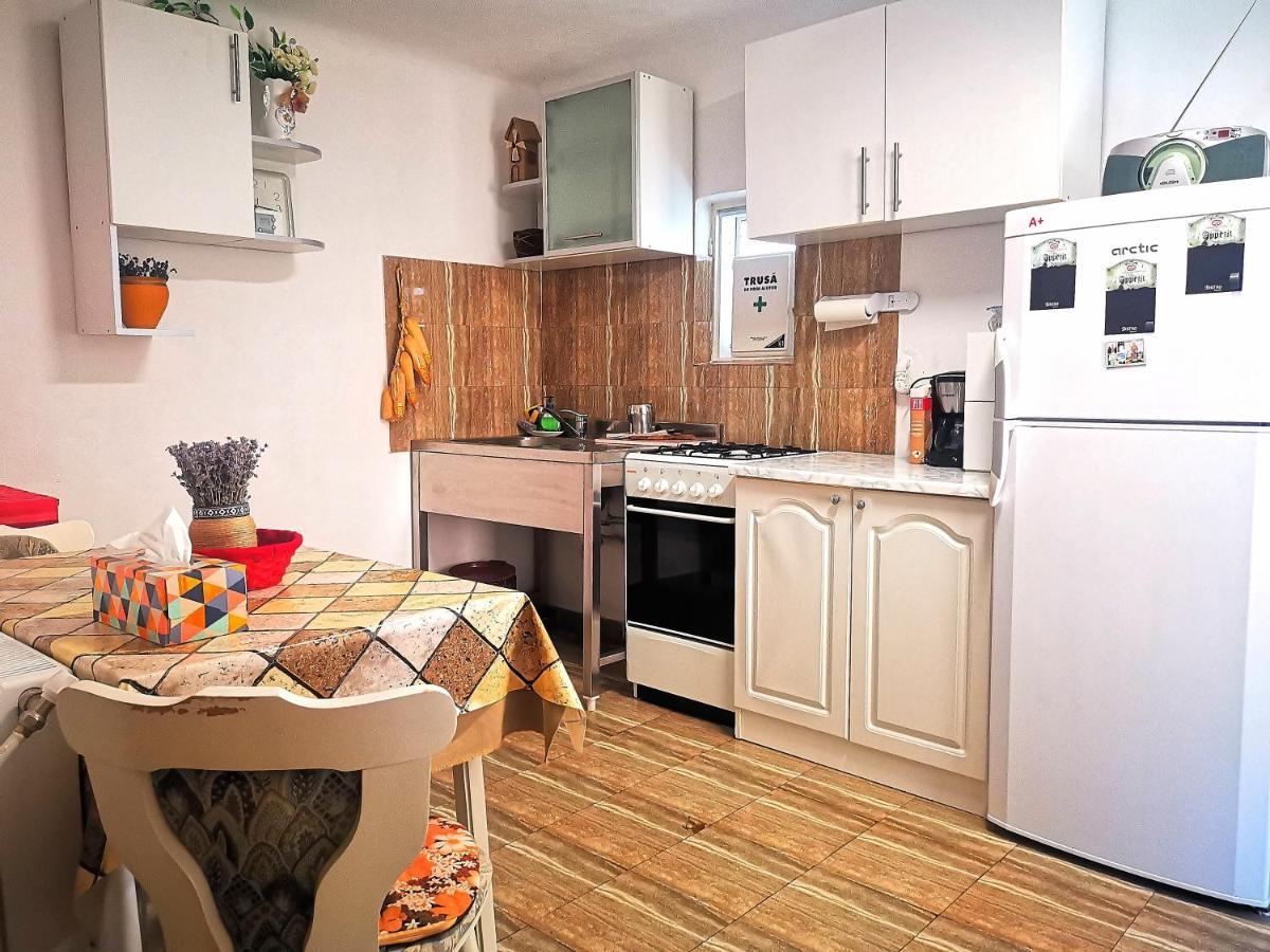 Вілла Casa Petrescu Куртя-де-Арджеш Екстер'єр фото